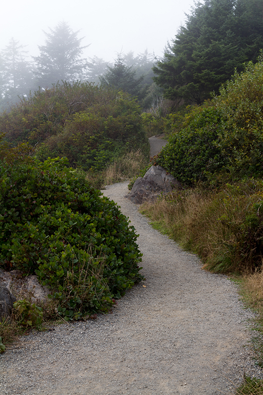 09-18 - 06.jpg - Wild Pacific Trail, Vancouver Island, BC